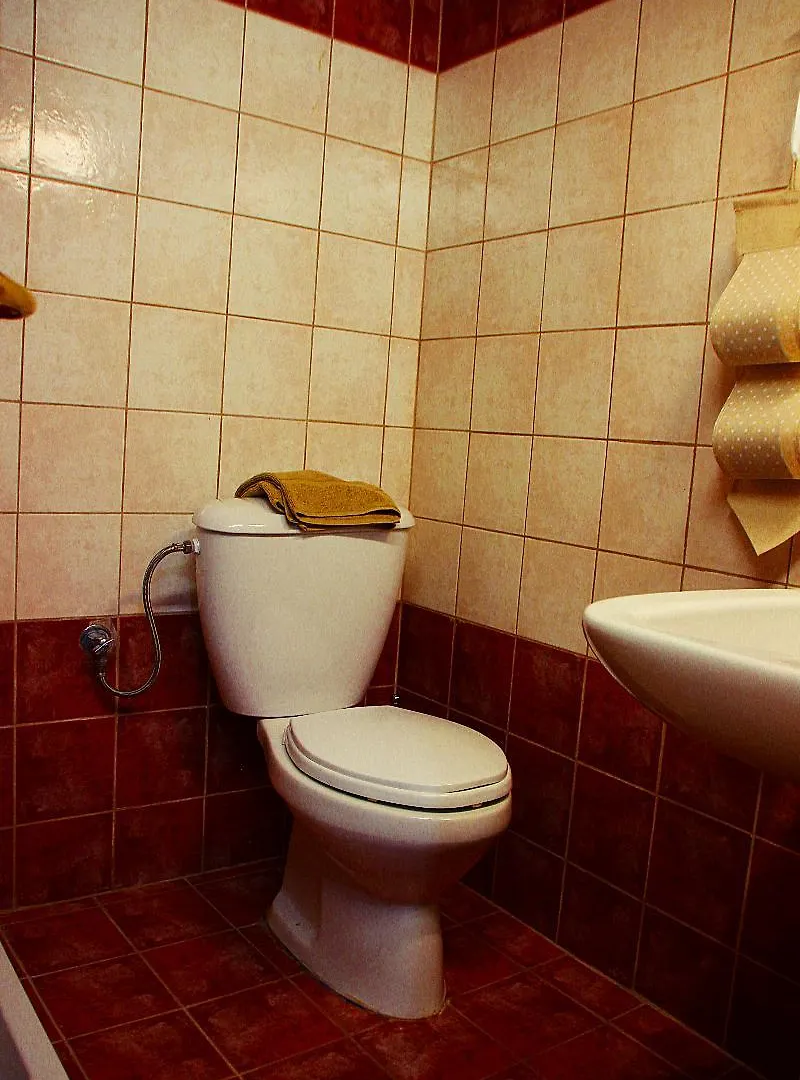 Hotel Aristotelis Traditional Guest House Arnea